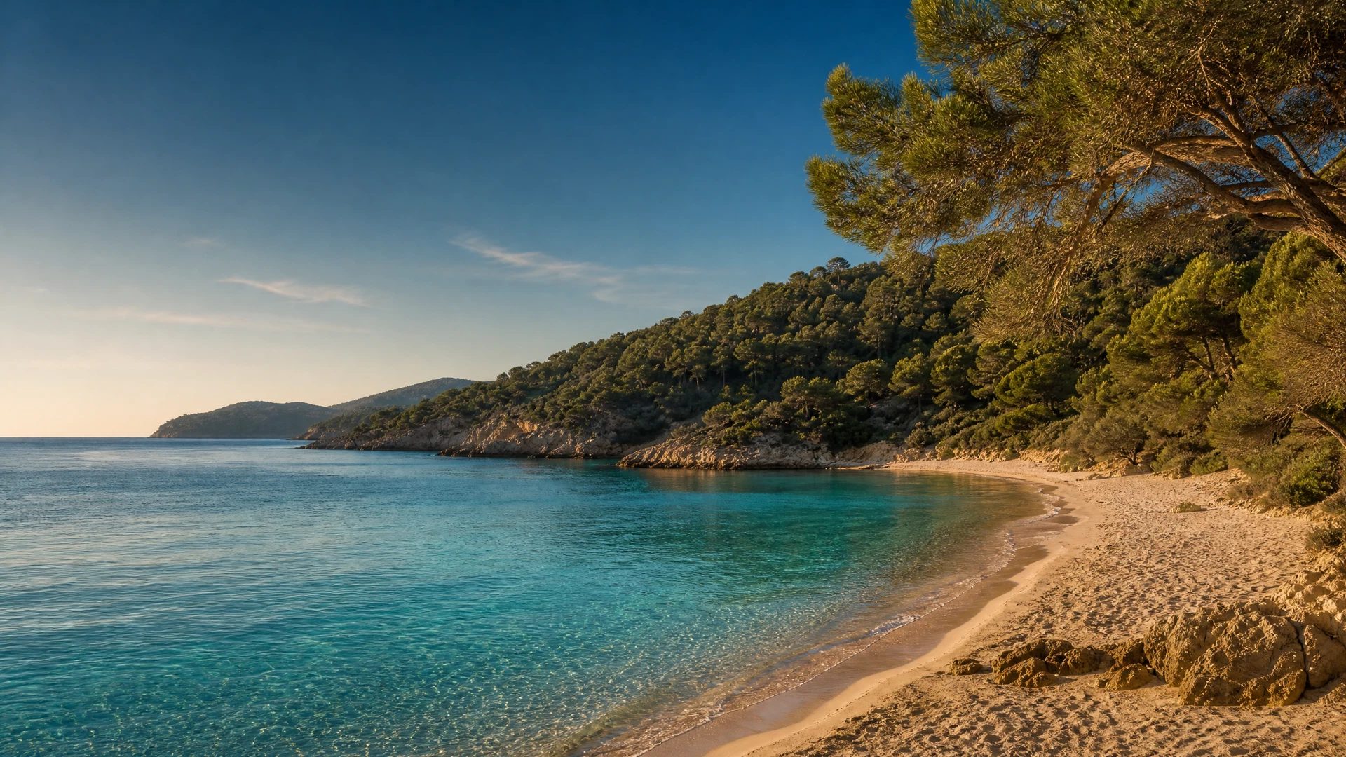 Deep Cala Llonga bay with golden sand, boardwalk and pine-covered cliffs